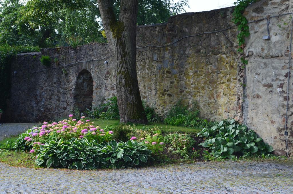 Penzion Vila Elektra Bechyně Esterno foto